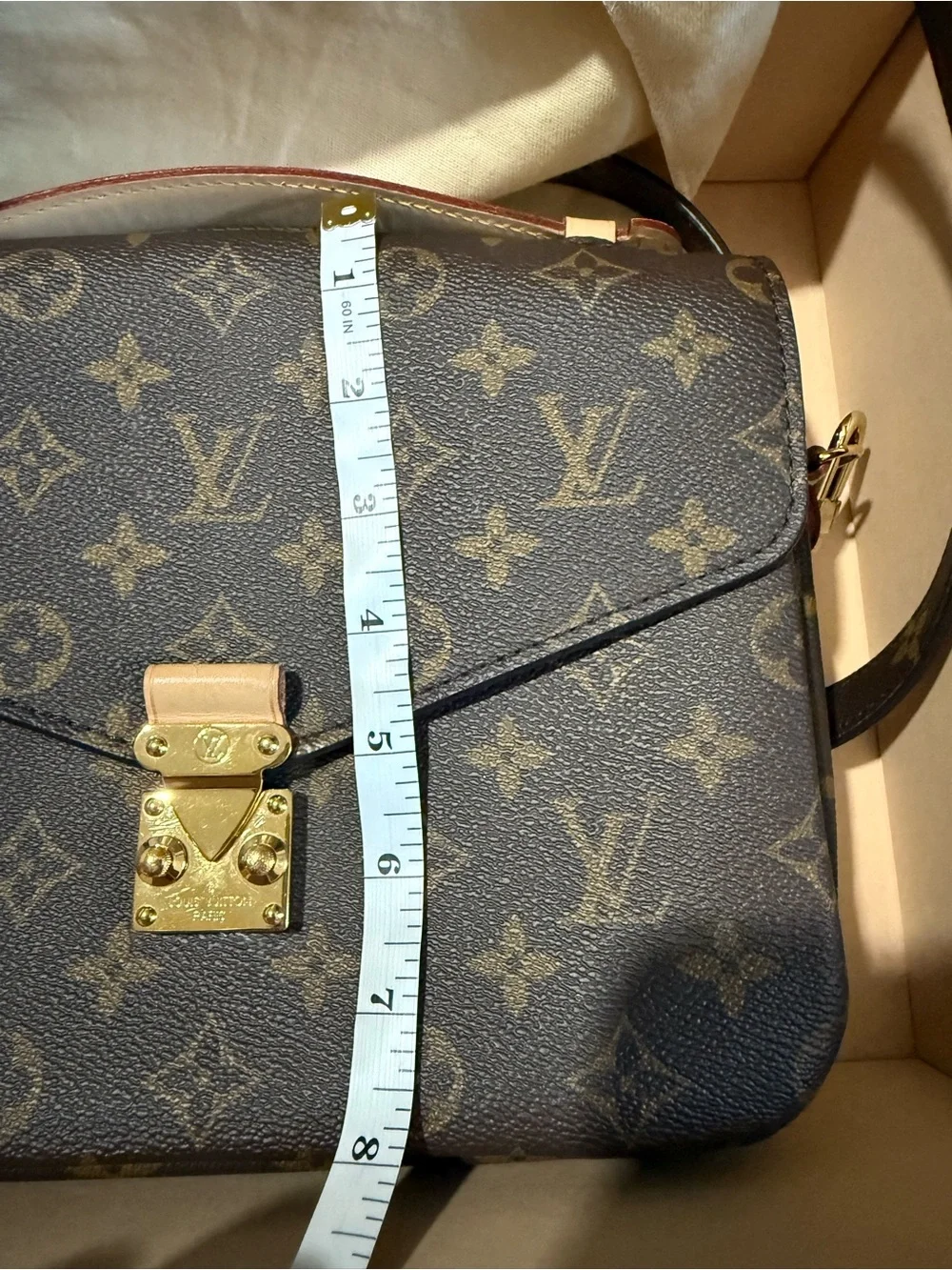 Louis Vuitton Pochette Métis